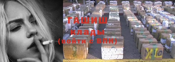 прущие грибы Березники