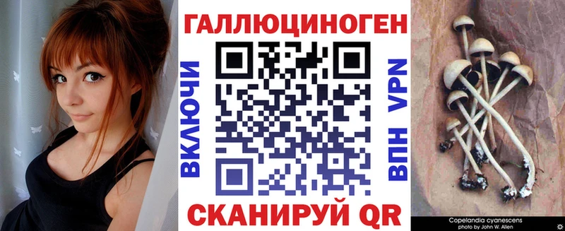 Псилоцибиновые грибы Cubensis  Чусовой 